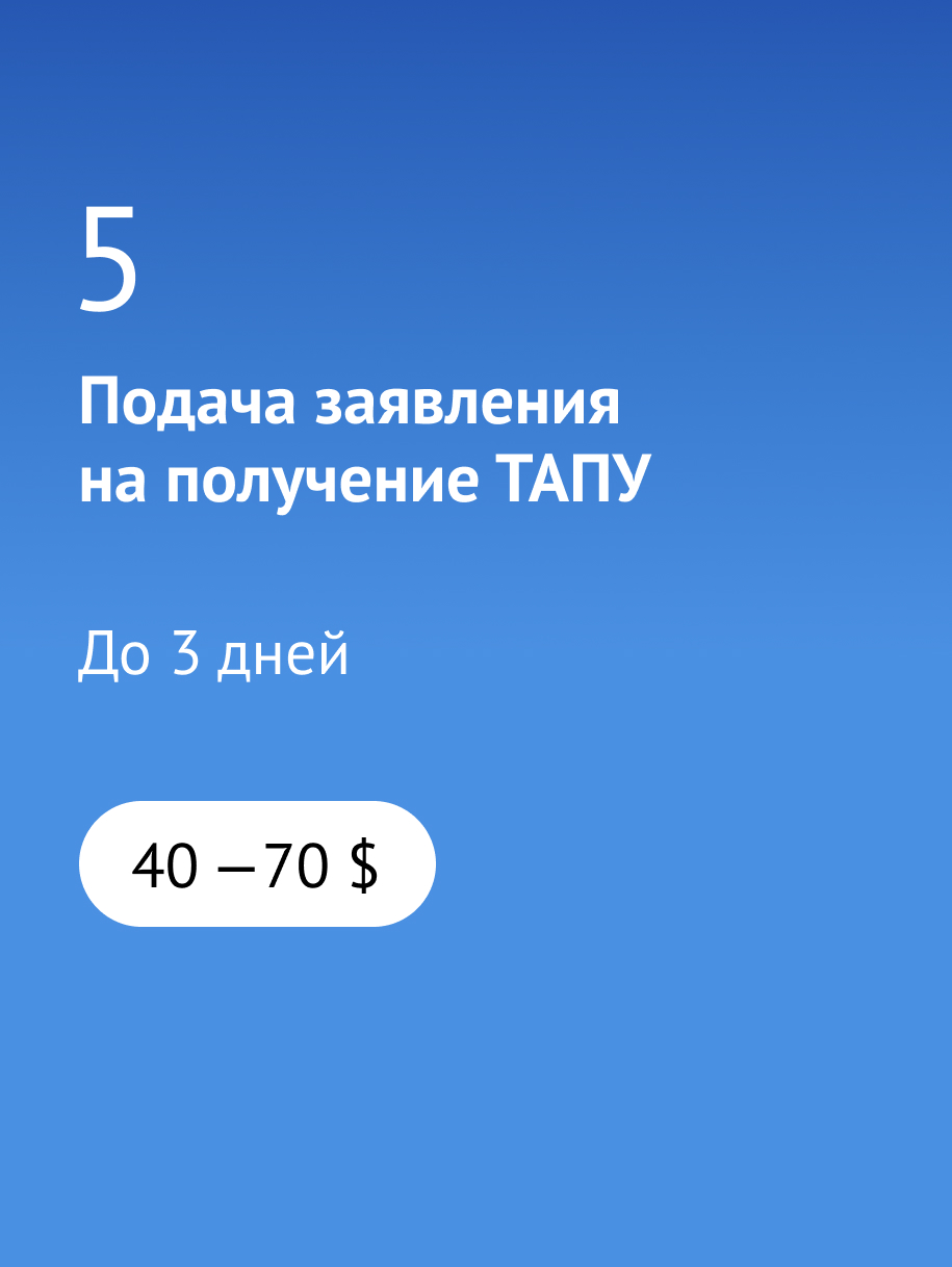 ТАПУ в Турции для россиян в 2024 году