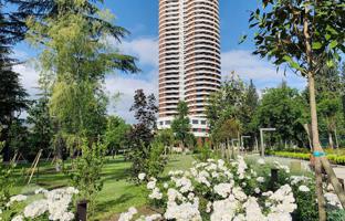 2-комнатная квартира 81 м² в Сабуртало за $243 000
