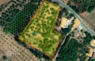 Земельный участок 5 017 м² в Пафосе за 356 000 €