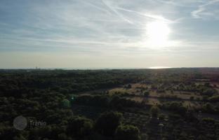 Земельный участок 8 000 м² в Водняне за 350 000 €