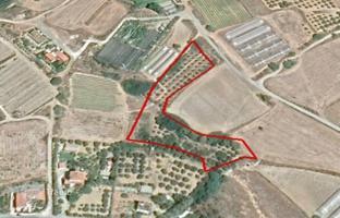 Земельный участок 6 423 м² в Ларнаке за 350 000 €