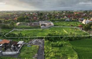 Земельный участок 7 616 м² в Бадунге за $1 521 000