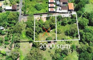 Земельный участок 1 000 м² в Южной Куте за $342 000