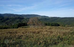Земельный участок 1 000 м² в Пизе за 980 000 €