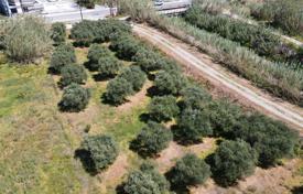 Земельный участок в Колымвари, Крит, Греция за 195 000 €