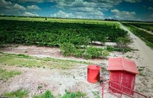 Земельный участок во Флориде за $600 000