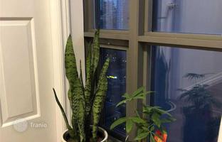 5-комнатная квартира на Гренвилл-стрит за C$1 135 000