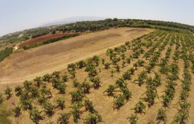 Земельный участок с виноградником недалеко от пляжа в Хорафакии, Крит, Греция за 115 000 €