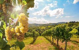 Традиционная ферма с виноградником в Сан-Кашано-ин-Валь-ди-Пеза, Тоскана, Италия за 1 950 000 €