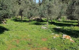 Большой земельный участок с лесом в Ханье, Крит, Греция за 210 000 €