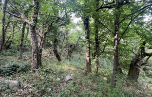 3-комнатный дом 29 м² в Мошченичка-Драга. Цена по запросу