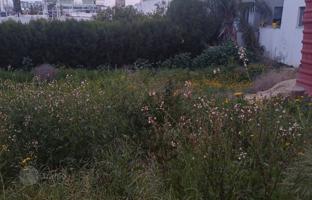 Земельный участок 279 м² в Агландзии за 140 000 €