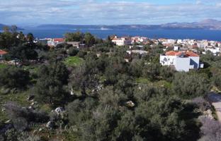 Земельный участок 4 790 м² в Коккино Хорио за 285 000 €