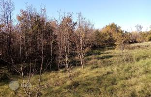 Земельный участок 1 362 м² в Истрийской жупании за 137 000 €