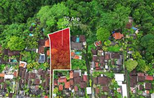 Земельный участок 7 000 м² в Убуде за $2 252 000